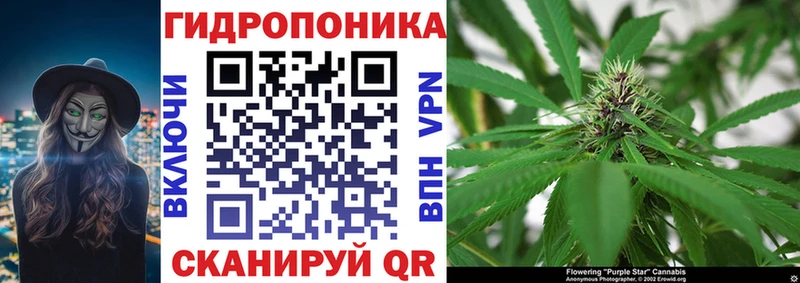 Каннабис OG Kush  Купить где  Карталы 